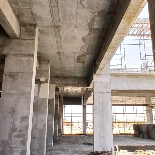 WhatsApp Image 2025-10-14 at 1.17.22 PM