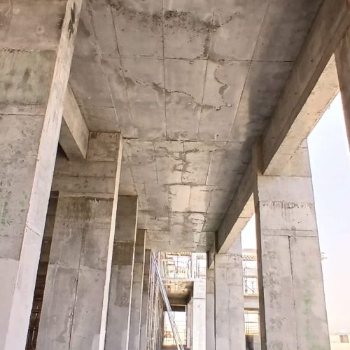 WhatsApp Image 2025-10-14 at 1.17.33 PM (1)